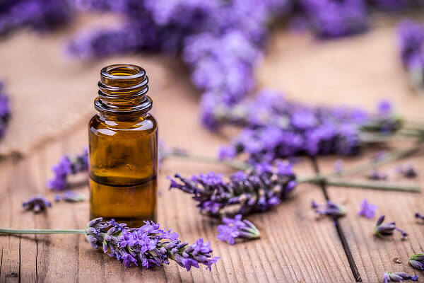Lavender Oil & Eucalyptus Oil - Two Australian Natural Icons