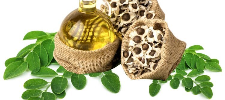 Moringa Oil........ Nature's Magic Potion