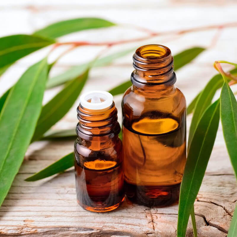 Australian Eucalyptus Oil