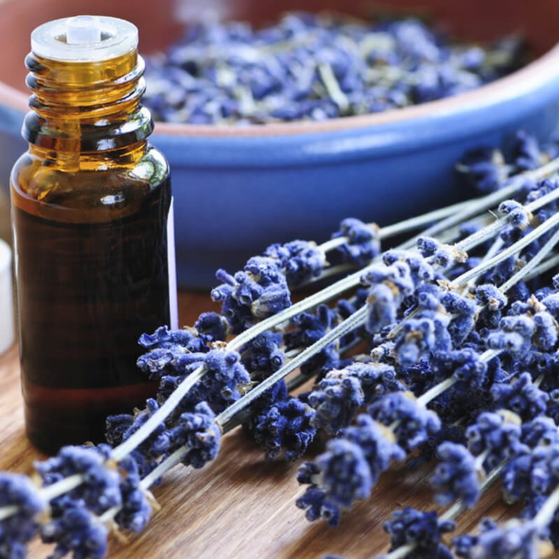 Lavender Oil for Sleeping