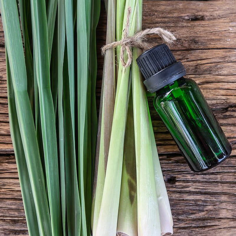Lemongrass Essential Oil Benefits