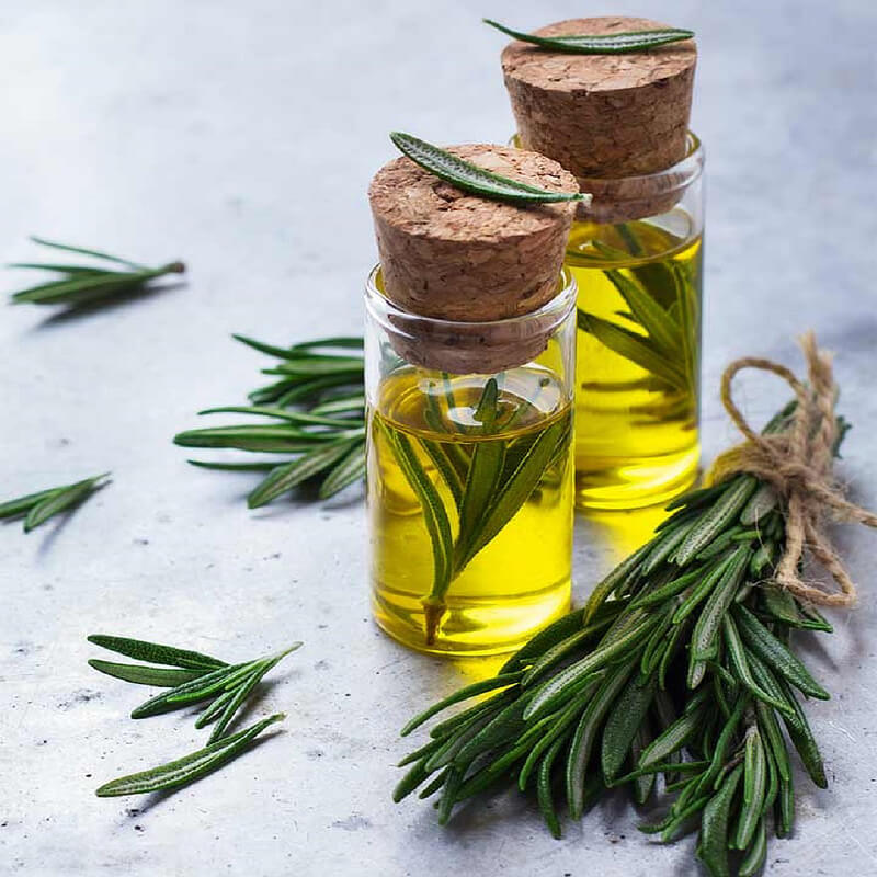 Rosemary Healing Oil