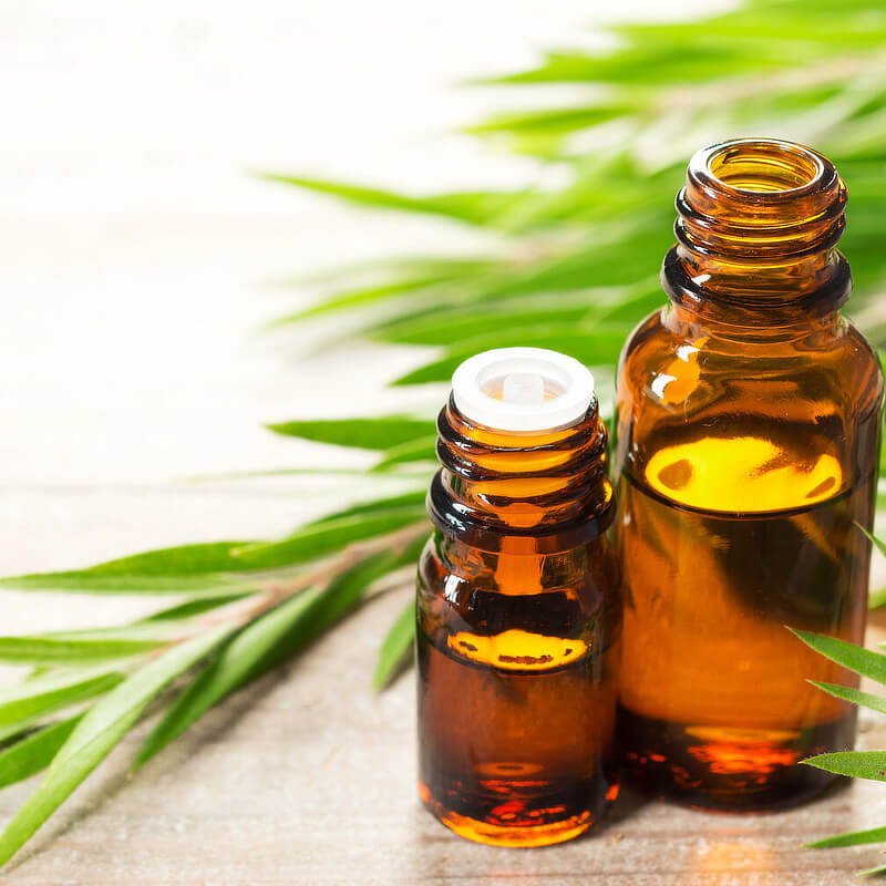 Tea Tree Oil Uses
