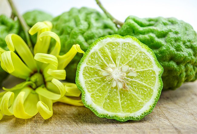 bergamot essential oil