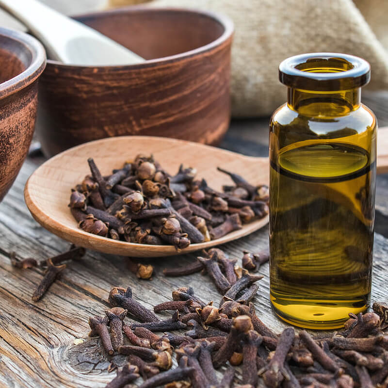 Clove Oil for Toothaches